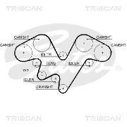 8645 5602xs Ozubený řemen rozvodů TRISCAN