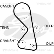 8645 5609xs Ozubený řemen rozvodů TRISCAN