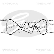 8645 5612xs TRISCAN ozubený remeň 8645 5612xs TRISCAN