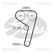 8645 5669xs TRISCAN ozubený remeň 8645 5669xs TRISCAN