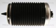 8720 29203 TRISCAN vzduchový vak 8720 29203 TRISCAN