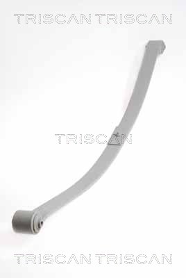 8765 29020 TRISCAN sada prużín 8765 29020 TRISCAN