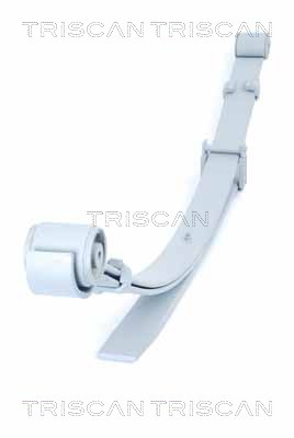 8765 29021 TRISCAN sada prużín 8765 29021 TRISCAN