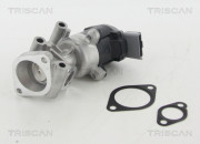 8813 10009 TRISCAN agr - ventil 8813 10009 TRISCAN