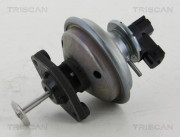 8813 11002 TRISCAN agr - ventil 8813 11002 TRISCAN