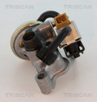 8813 23005 TRISCAN agr - ventil 8813 23005 TRISCAN