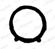 JA5011 Těsnění, koleno sacího potrubí PAYEN