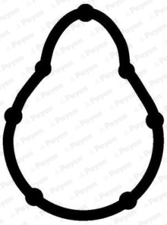 JD5315 Těsnění, koleno sacího potrubí PAYEN