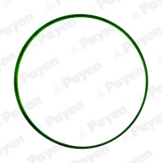 JD6034 Těsnění, koleno sacího potrubí PAYEN
