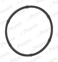 JD6171 Těsnění, koleno sacího potrubí PAYEN