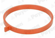 JD6186 Těsnění, koleno sacího potrubí PAYEN