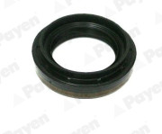 NA5502 Těsnicí kroužek hřídele, diferenciál PAYEN