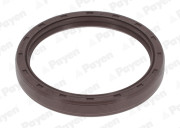 NF776 Těsnicí kroužek hřídele, klikový hřídel PAYEN