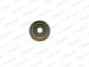 PA6095 Těsnicí kroužek, dřík ventilu PAYEN