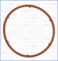 00808900 Těsnění AJUSA