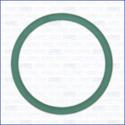 16092500 Těsnicí kroužek, držák trysky AJUSA