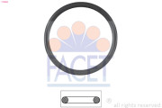 7.9538 Těsnění, termostat Made in Italy - OE Equivalent FACET