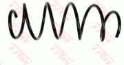 JCS762 Pružina podvozku TRW