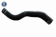 V24-1271 Hadice chladiče Q+, original equipment manufacturer quality VAICO