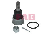 825 0424 10 Podpora-/ Kloub Schaeffler FAG