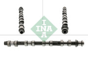 428 0196 10 Vačkový hřídel Schaeffler INA