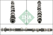 428 0197 10 Vačkový hřídel Schaeffler INA