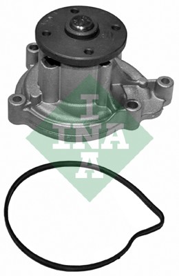 538 0113 10 Vodní čerpadlo, chlazení motoru Schaeffler INA
