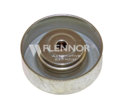 FS99431 Vratná/vodicí kladka, klínový žebrový řemen FLENNOR