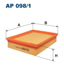 AP 098/1 Vzduchový filtr FILTRON