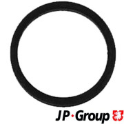 1115550900 Těsnicí kroužek, vstřikování JP GROUP