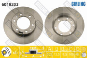 6019203 Brzdový kotouč GIRLING