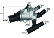 TI 155 88 Termostat, chladivo BEHR MAHLE