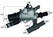 TI 166 88 Termostat, chladivo Ausgabe Nr. 03/2018: Beschädigtes Ölfilterpapier MAHLE