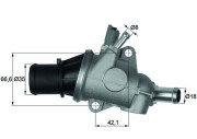 TI 167 88 Termostat, chladivo BEHR MAHLE