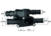 TM 2 105 MAHLE termostat chladenia TM 2 105 MAHLE