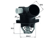 TM 32 103 Termostat, chladivo Ausgabe Nr. 03/2018: Beschädigtes Ölfilterpapier MAHLE