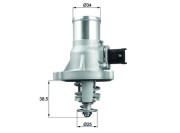 TM 41 105 Termostat, chladivo Ausgabe Nr. 03/2018: Beschädigtes Ölfilterpapier MAHLE