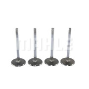 VA0140040 MAHLE sací ventil VA0140040 MAHLE