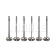 VA0480244 Sací ventil MAHLE