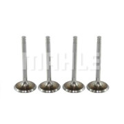 VA0700088 Sací ventil MAHLE