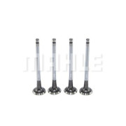 VE0440598 Výfukový ventil MAHLE