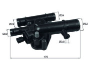 TI 243 89 Termostat, chladivo BEHR MAHLE