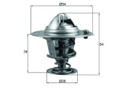 TX 206 88D Termostat, chladivo BEHR MAHLE
