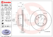 BS 8256 Brzdový kotouč BRECO