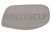 BM0467413 Kryt, vnější zrcátko PRASCO