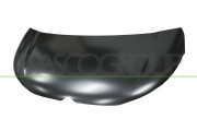 CI2063100 PRASCO kapota motora CI2063100 PRASCO