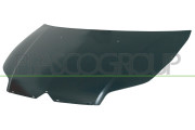 CI4243100 PRASCO kapota motora CI4243100 PRASCO