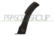 DA2261572 Ozdobná / ochranná lišta, blatník PRASCO