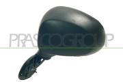 DW3257002 Vnější zpětné zrcátko PRASCO