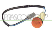 FT1354039 Blikač PRASCO